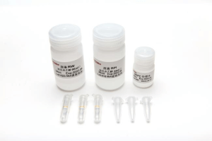 通用DNA提取试剂盒（离心柱型）