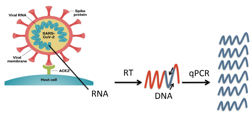 dd592a44b3f7522c2e616df62ac0261b